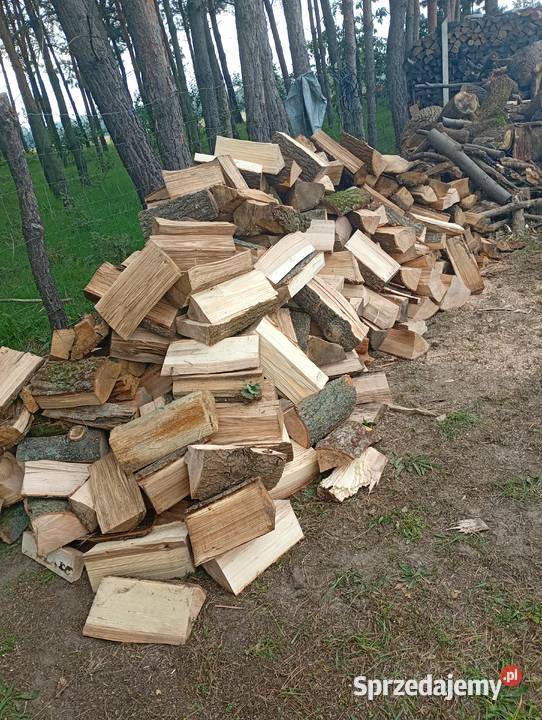 Drewno kominkowe Dąb jesion suche sezonowane Żmigród sprzedam