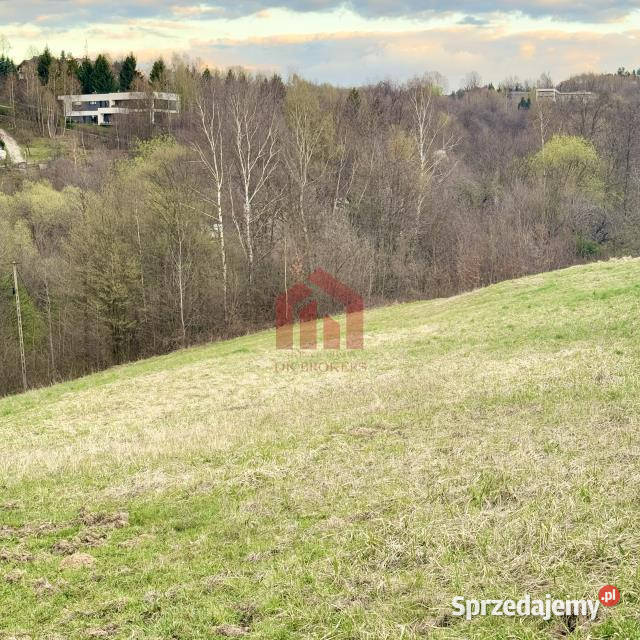 sprzedaży gruntu 3000m2 Rzeszów asfalt podkarpackie