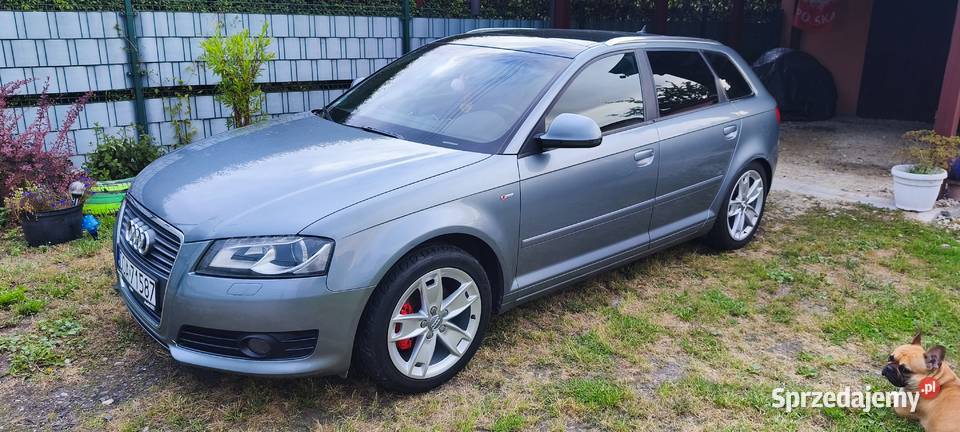 Audi a3 8p sporback diesel 20 nieuszkodzony