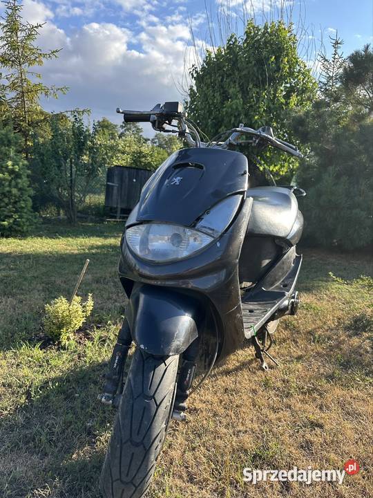 peugeot vivacity 50 Chełm