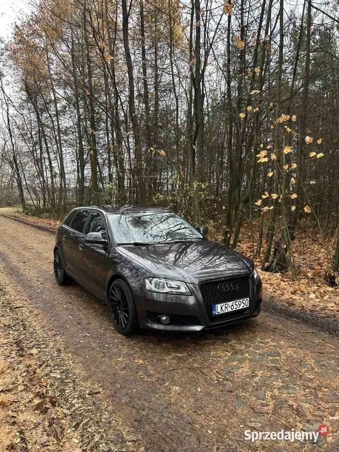 Audi A3 8p 18 TFSI Dzierzkowice-Wola