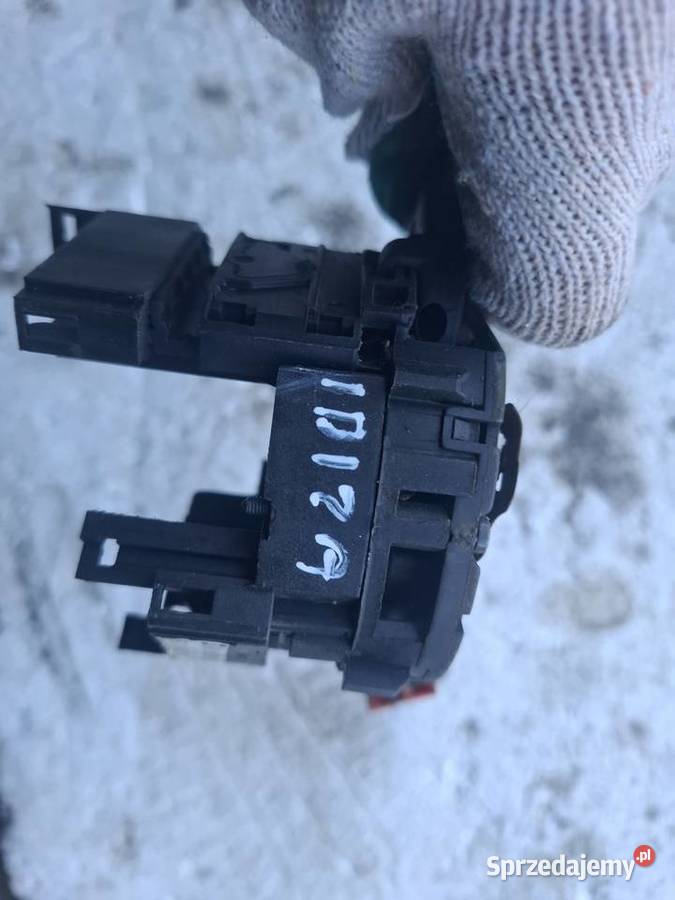 IBIZA PAJĄK Wisznice