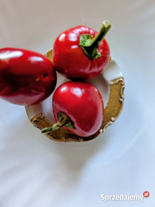 Papryka czereśniowa do faszerowania nasiona 2025 małopolskie Kraków