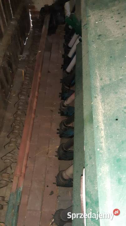 Siewnik zbożowy Poznaniak sprzedam