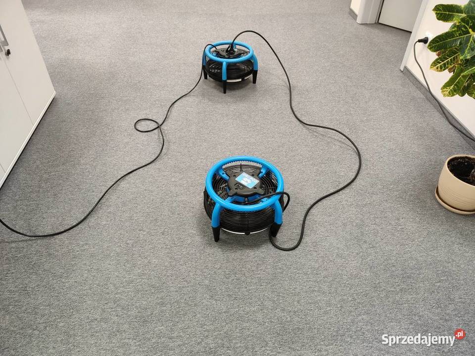 Pranie Tapicerki Narożnika Kanapy Dywanu Podkonice Duże