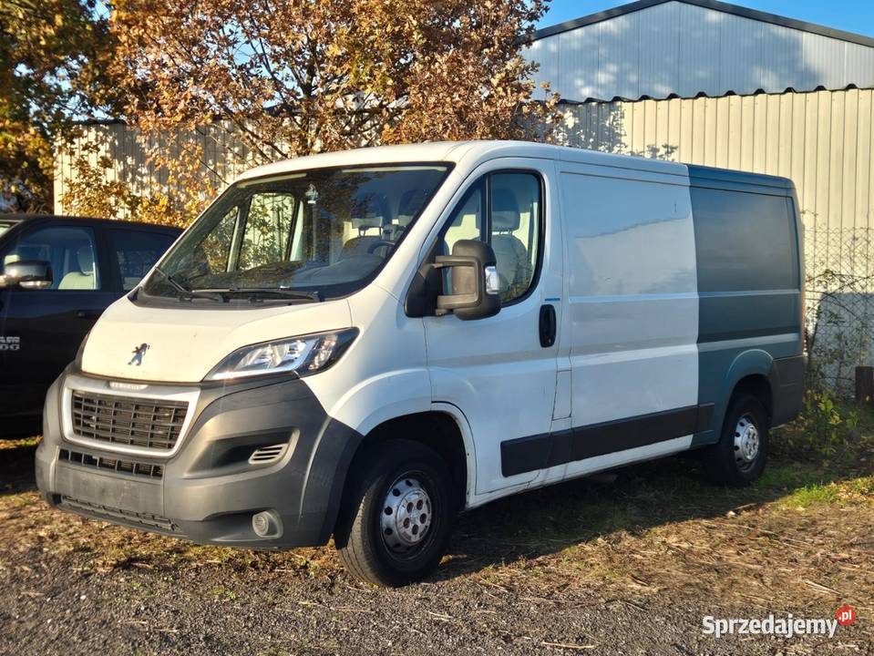 Peugeot Boxer 20 Diesel 2019 Rok produkcji 2019 dolnośląskie Wołów sprzedam