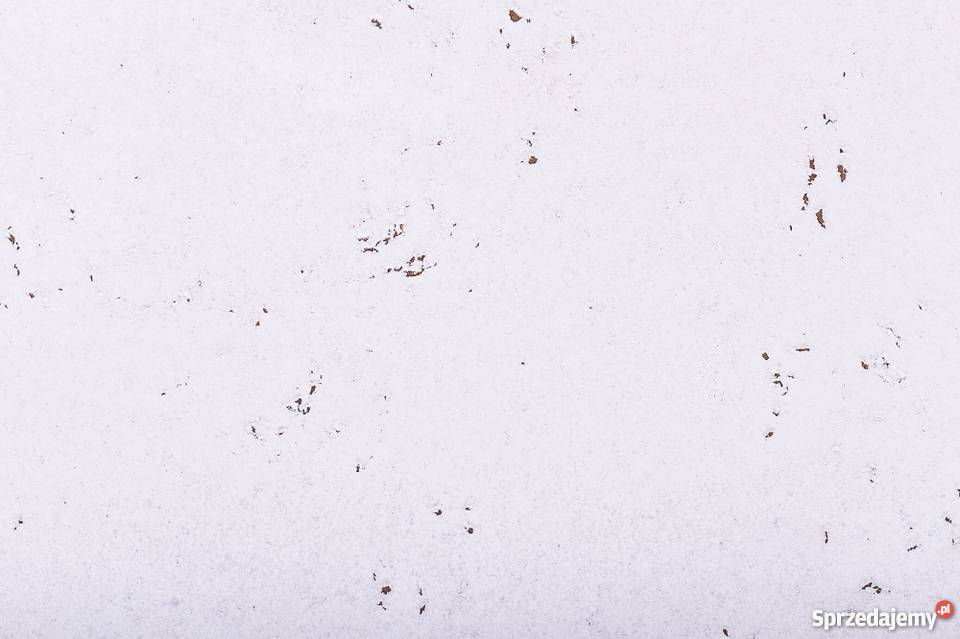 Korek dekoracyjny DECORATIVE SNOW 3mm Radom