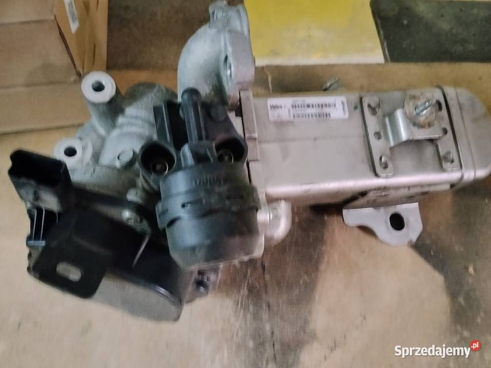EGR Ford Jawor