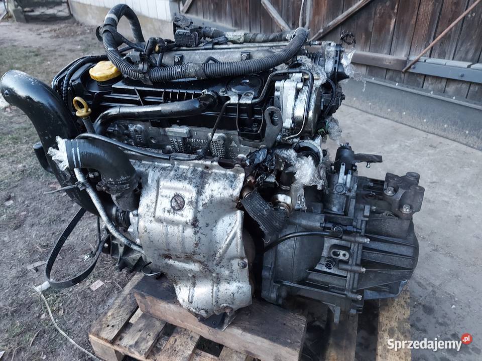 Skrzynia biegów Rok produkcji 2007 Płońsk