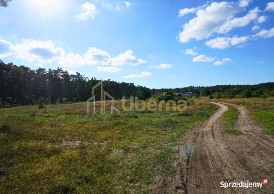 Działka przeznaczona pod produkcję magazyny Łozienica