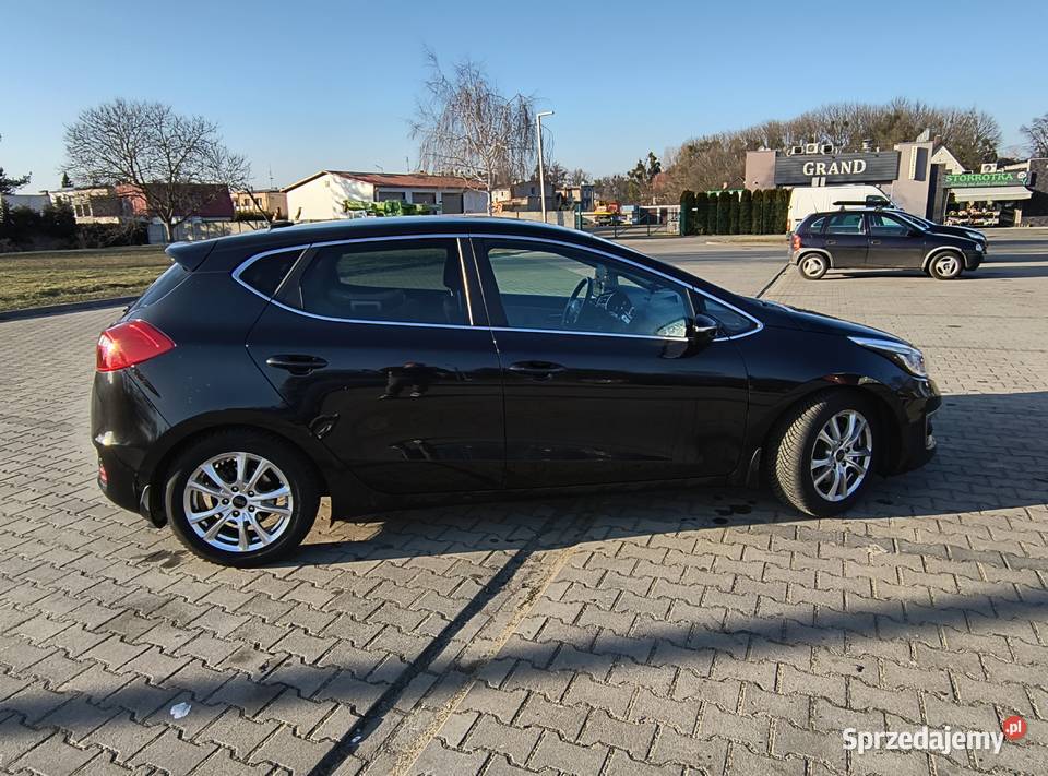 Kia ceed polski salon 16 gdi 135KM Kluczbork sprzedam