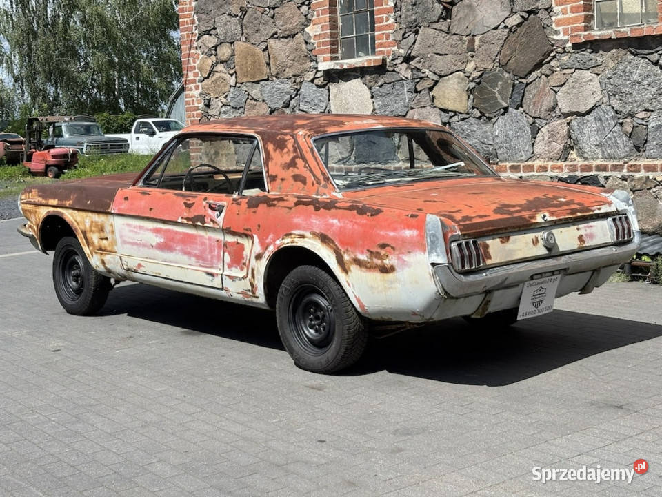 Ford Mustang Ford Mustang Coupe 5407 1964 Sulechów sprzedam