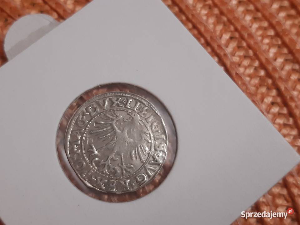 moneta srebrna Zygmunt II August z 1555r Łomża