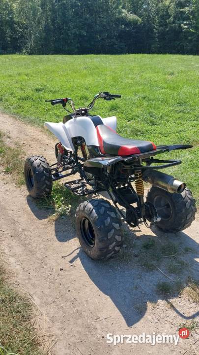 Bashan 250 manual nieuszkodzony Motoryzacja