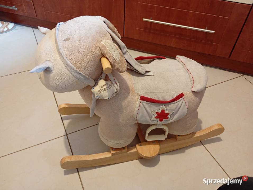 Konik na biegunach Pozostałe Kraków