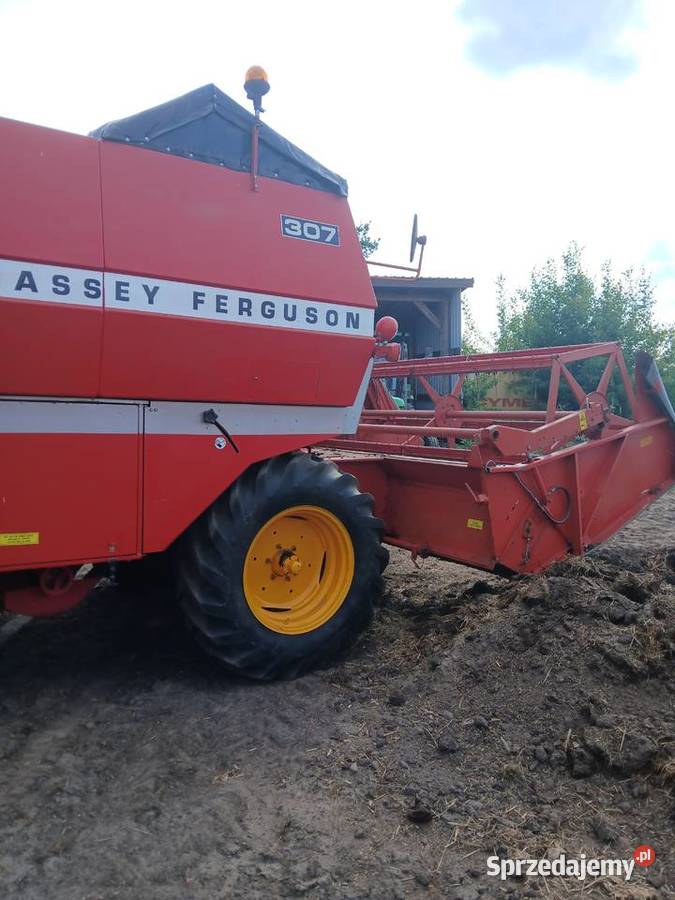Massey Ferguson 307 Zbożowe Rolnictwo wielkopolskie Czajków