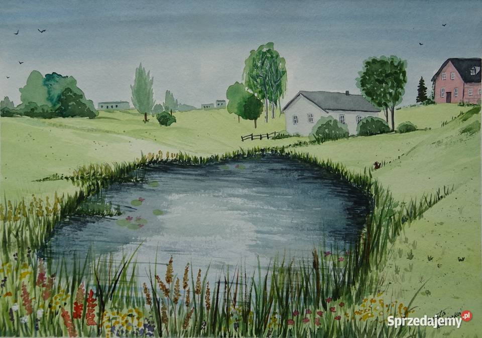 Akwarela Akwarelka Obraz pt Lato w Filipowie Aleksandrów Łódzki