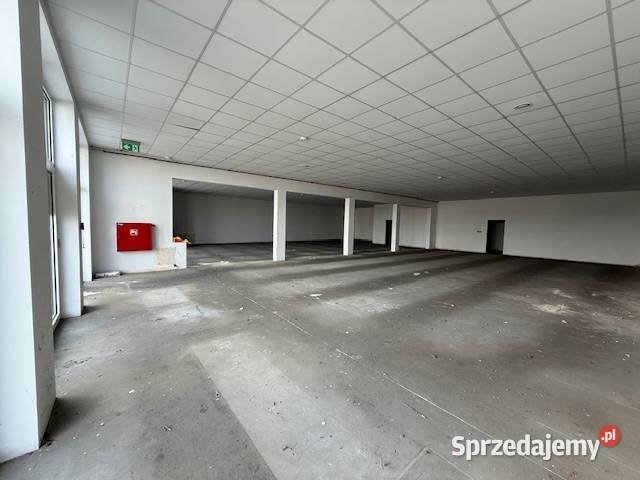 WYNAJMU LOKALU WITKOWO NOWA 2A