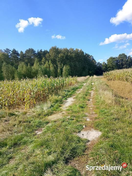 Działka rolna budowlana rekreacyjna 15zl metr