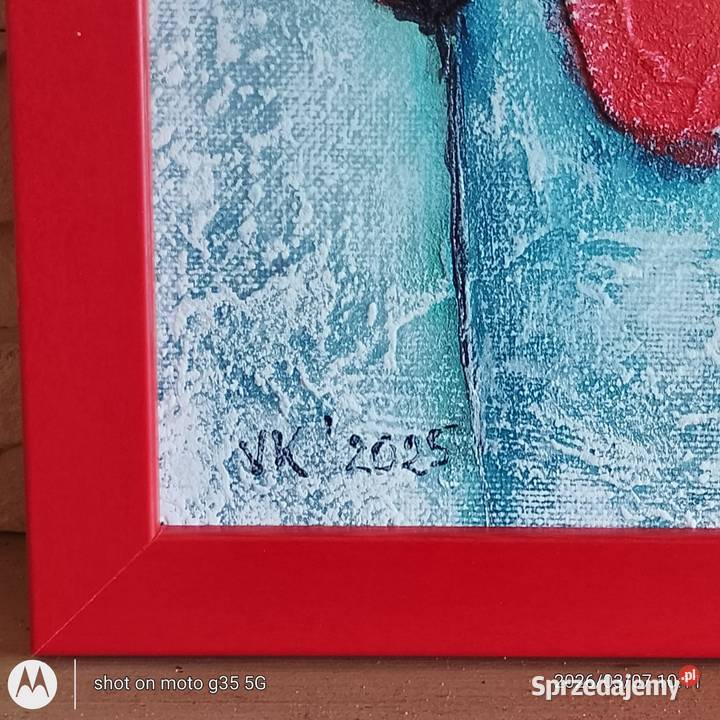 Czerwone maczki Bychawka Trzecia