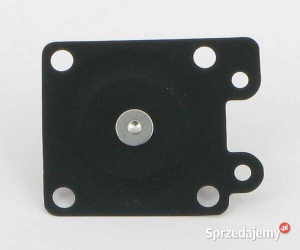 Membrana 430282090 Kamionna sprzedam