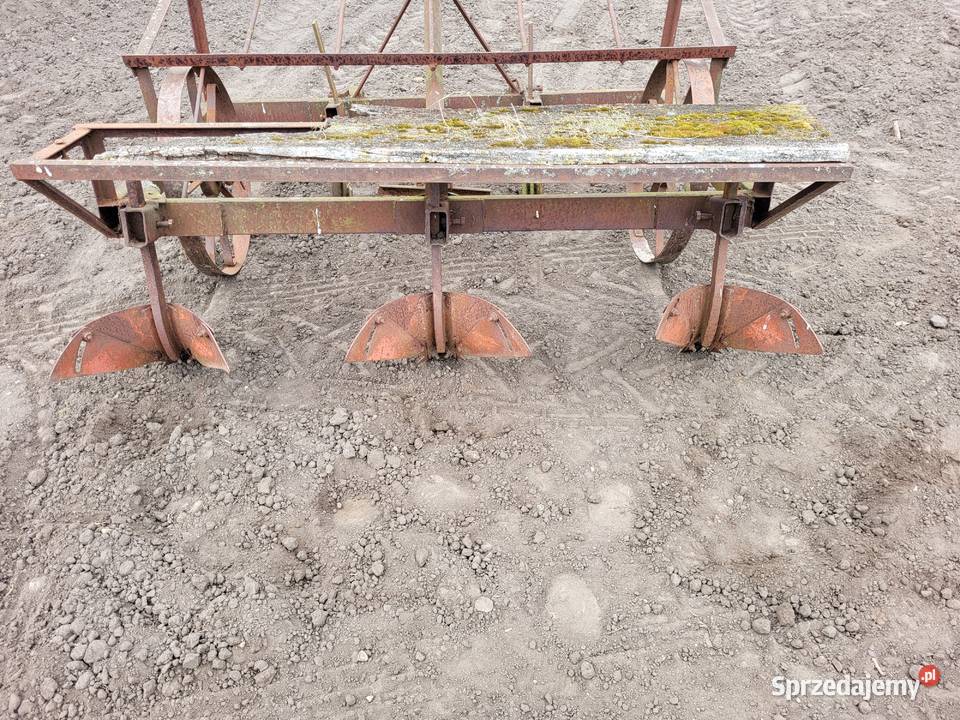 Obsypnik do ziemniaków mazowieckie Miedniewice