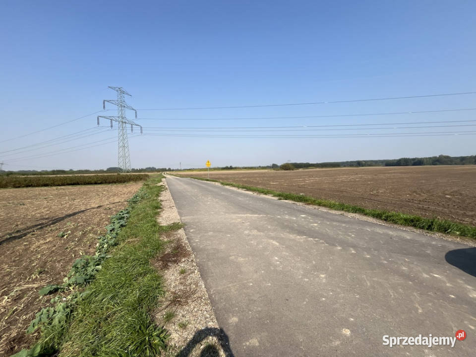 Działka rolnobudowlana 062 ha w Gołębiu kPuław Gołąb sprzedam