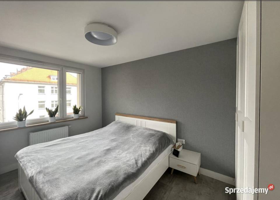 3pok 52met Miłkowickiej PIWNICAPARKING Legnica