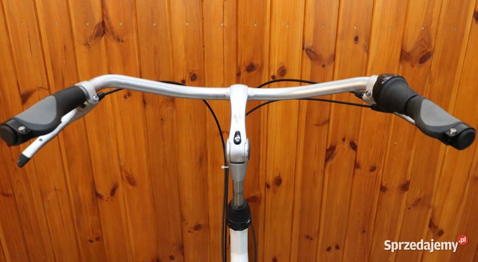 Rower damski Gazelle BloomD 61 I inne rowery z mazowieckie Milanówek