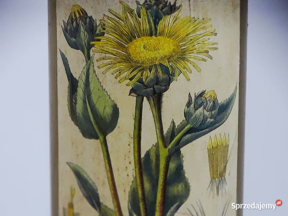 Zabytkowy pojemnik aptekarski z ilustracją Biłgoraj