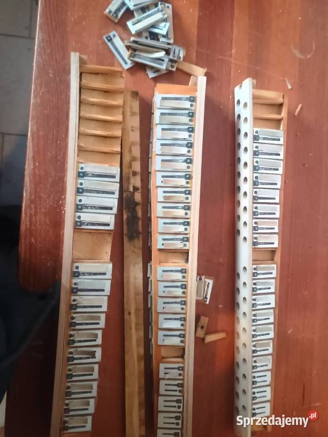 Akordeon rosyjski głosy melodyczne Nowa Dęba sprzedam