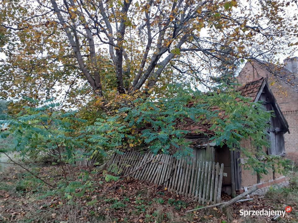 Działka zabudowana Kwiejce Nowe