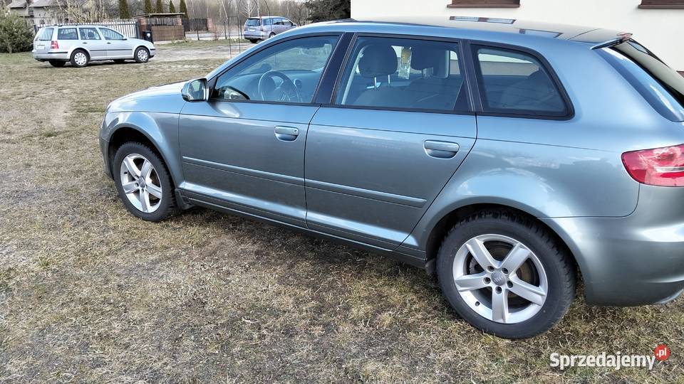 Audi A3 MPI 102 Tarło-Kolonia