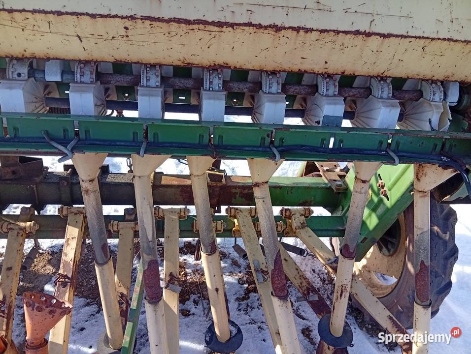 Siewnik Amażone D 275