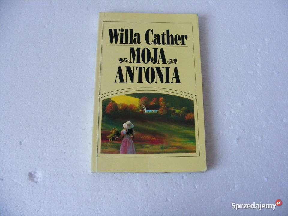 Pisarz Robbins Błyskawiczne dziewczyny Kirst Oborniki Śląskie sprzedam