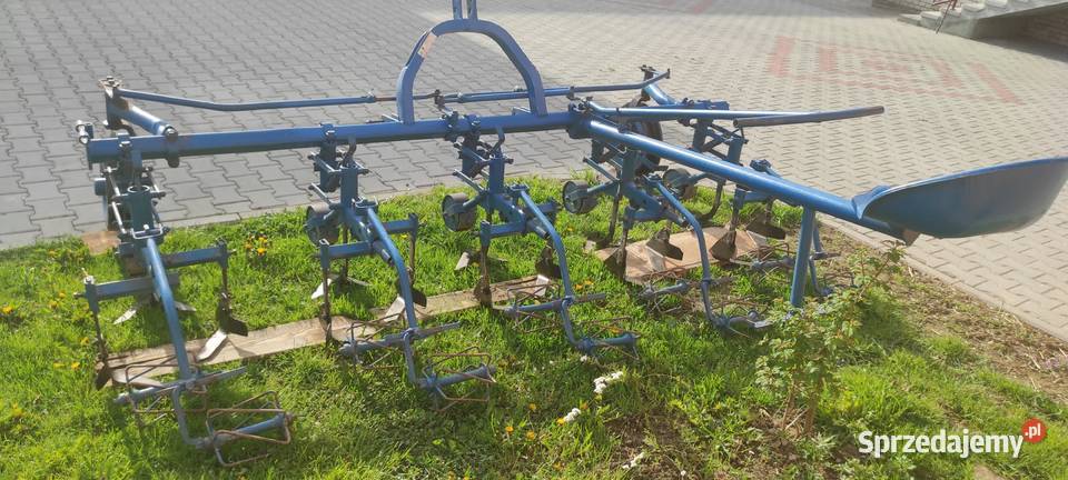 Wielorak pielnik małopolskie