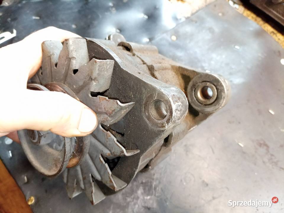Alternator polonez