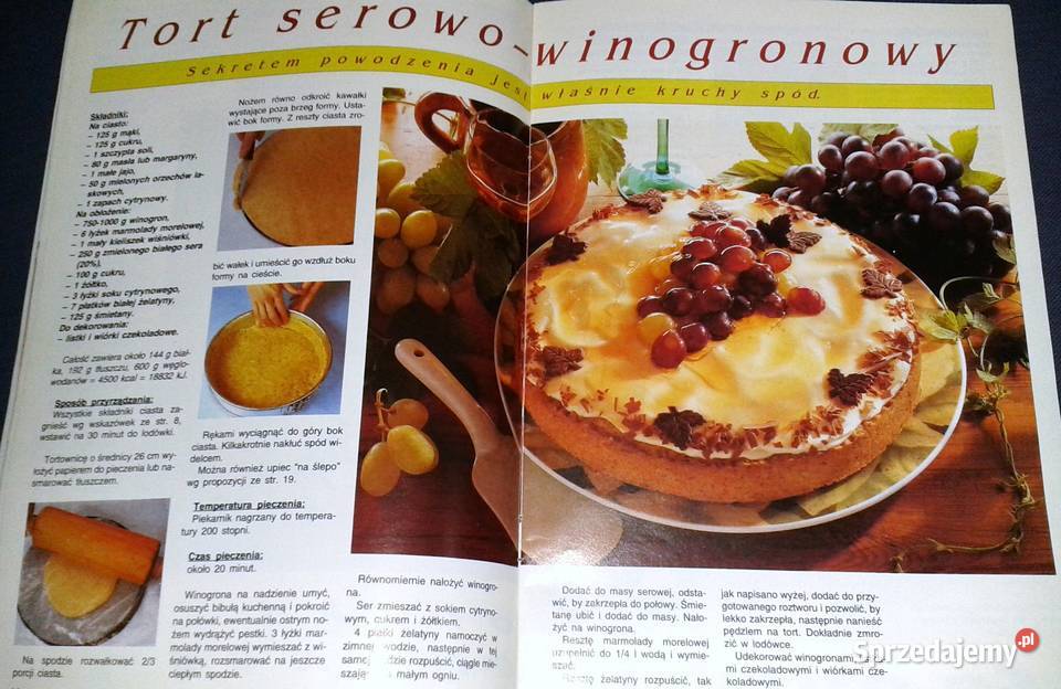 Ciasta domowe mojej kuchni 361994 Rok wydania 1994 Chełm