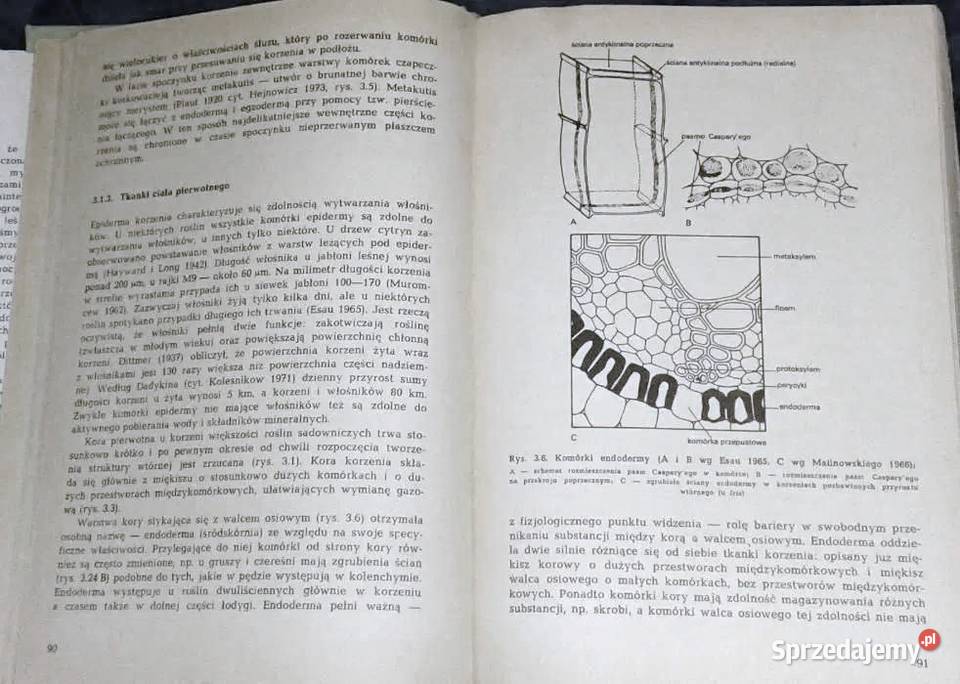 Fizjologia roślin sadowniczych Red Leszek Rok wydania 1984 Chełm