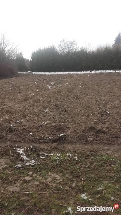 Sprzedam działkę budowlaną 535 m2 Końskowola Końskowola