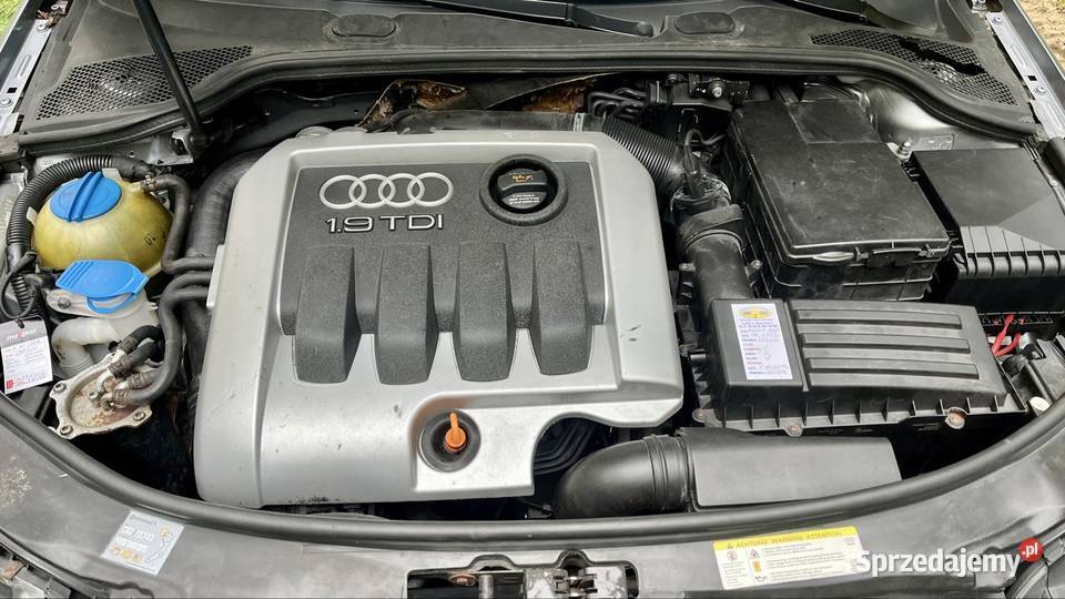 Audi A3 19 TDI BKC Sline Pakiet Plus Czarny sprzedam