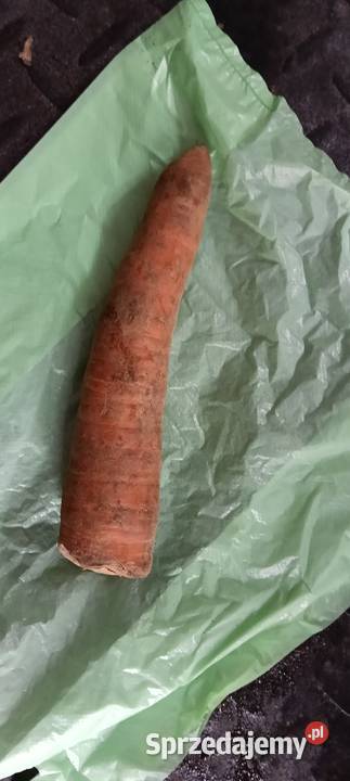 Warzywa Warzywa Chełm