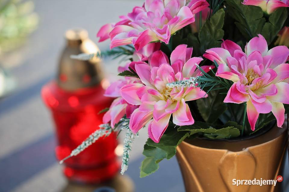 Usługi sprzątania grobów opieki grobami Cmentarz