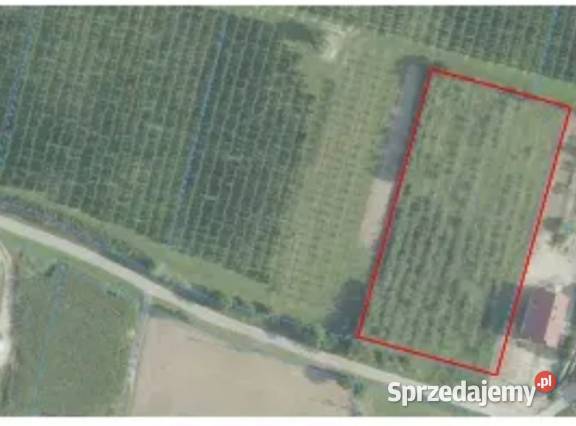 Działka z warunkami zabudowy o powierzchni 4400 35zł/m2 Mirkowice