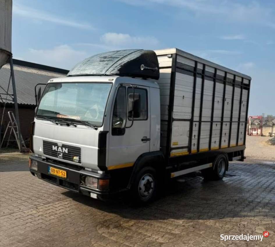 MAN L2000 do transportu przewozu żywca bydła Giżyn