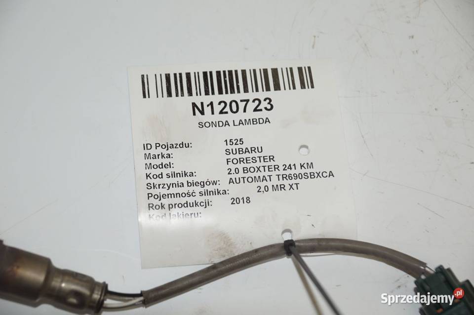 FORESTER XT SONDA LAMBDA osobowe Lipno sprzedam