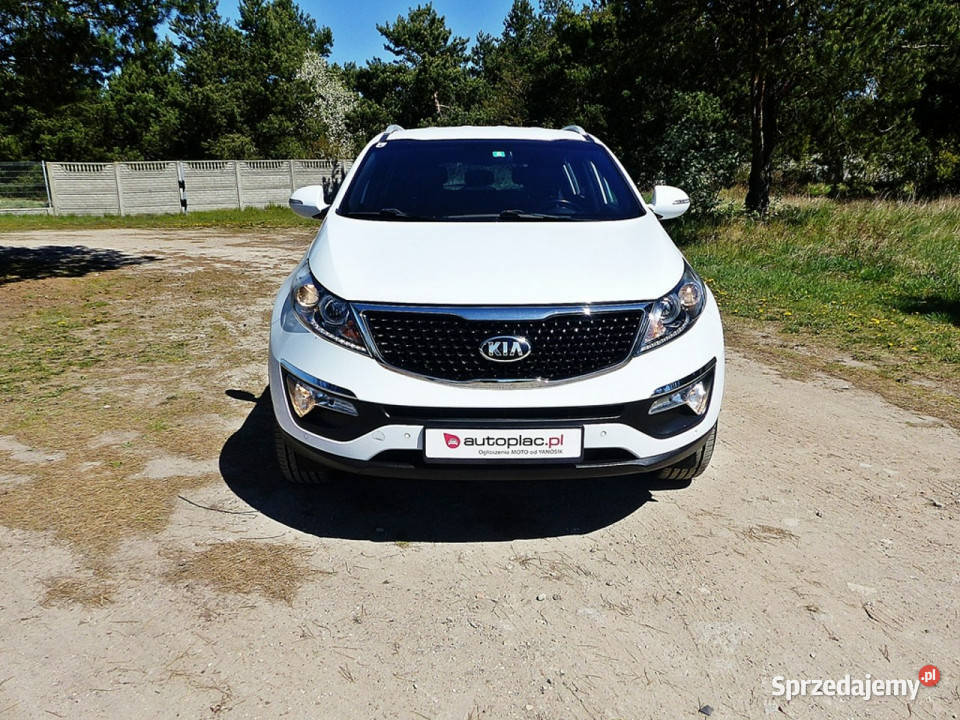 Kia Sportage 17 Piła