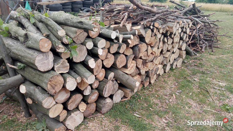 Sprzedam 2 metry graba i metr buka Nienaszów