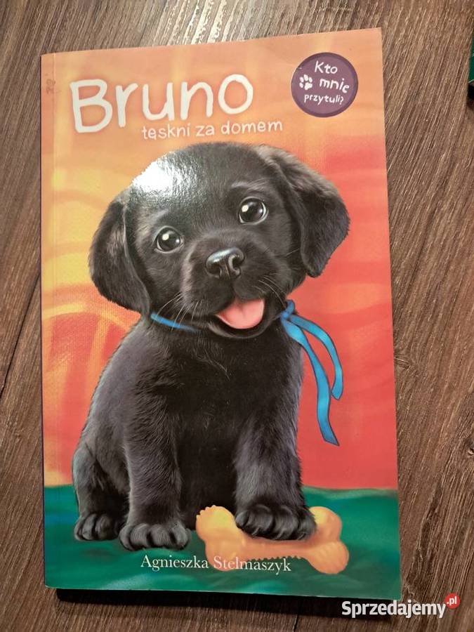 książka Bruno tęskni domem Agnieszki Stelmaszyk Sandomierz