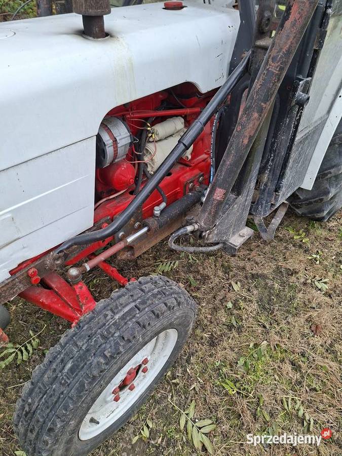 David Brown 885 sadowniczy Wólka Kolczyńska